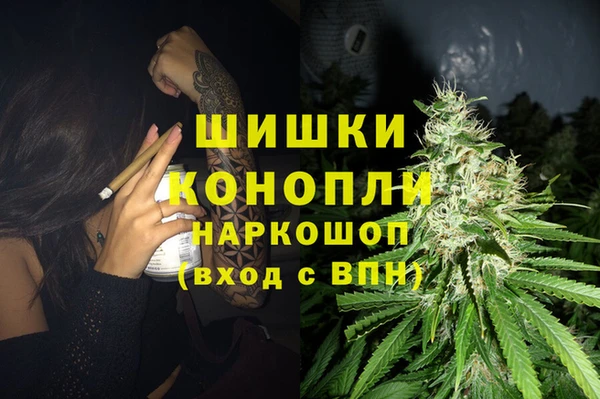 ГАЛЛЮЦИНОГЕННЫЕ ГРИБЫ Баксан