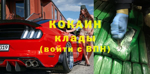 ГАЛЛЮЦИНОГЕННЫЕ ГРИБЫ Баксан
