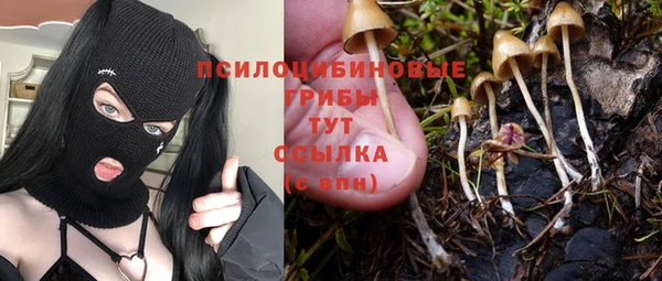 ГАЛЛЮЦИНОГЕННЫЕ ГРИБЫ Баксан