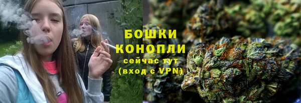 индика Белокуриха