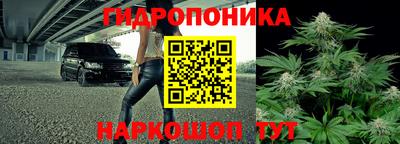 ГАЛЛЮЦИНОГЕННЫЕ ГРИБЫ Кандалакша