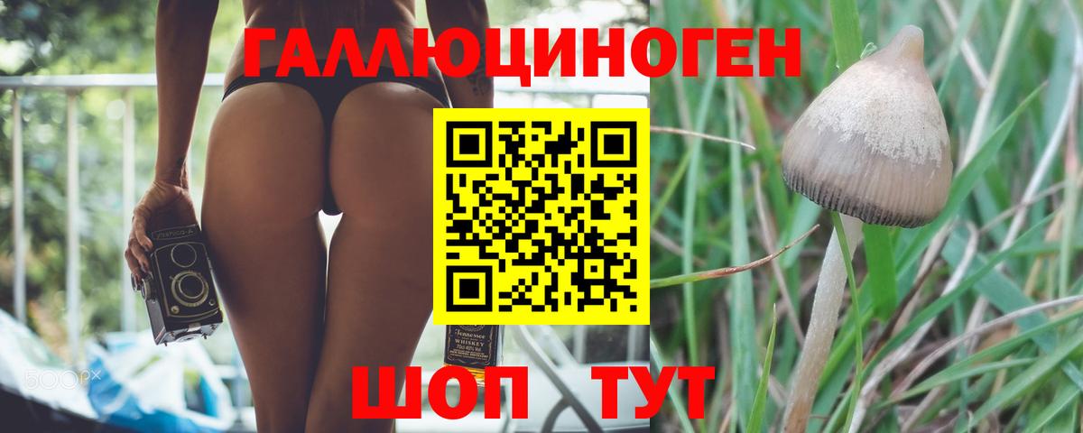 Галлюциногенные грибы Psilocybe  Вход с VPN  Лыткарино 