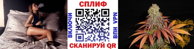 Бошки Шишки SATIVA & INDICA Лыткарино