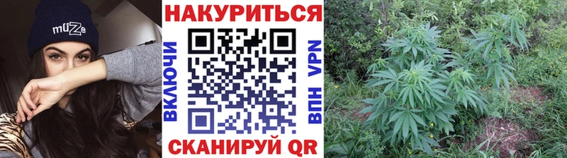 Бошки Шишки конопля  где найти   Лыткарино 